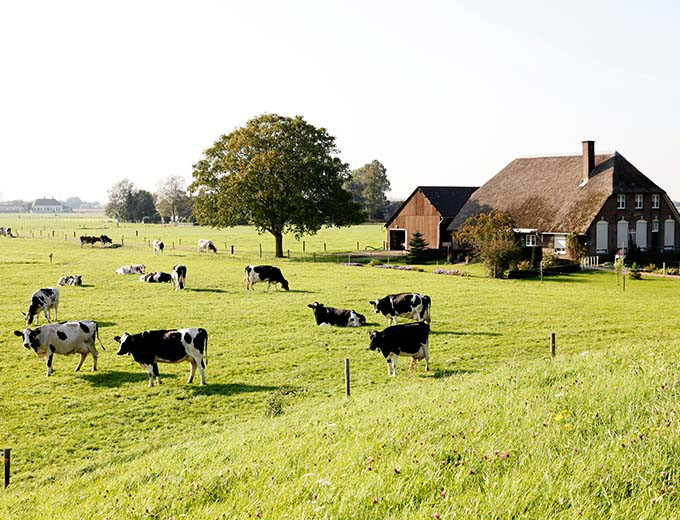Verkooprechten agrarisch bedrijf